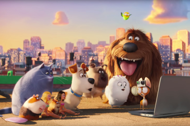 That's right: All these animals are registered voters.