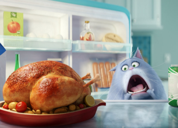 Refrigerator smell.