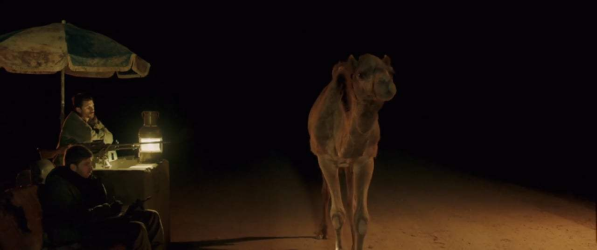 Hump it for the camel!