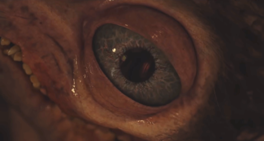 The eyes have it.